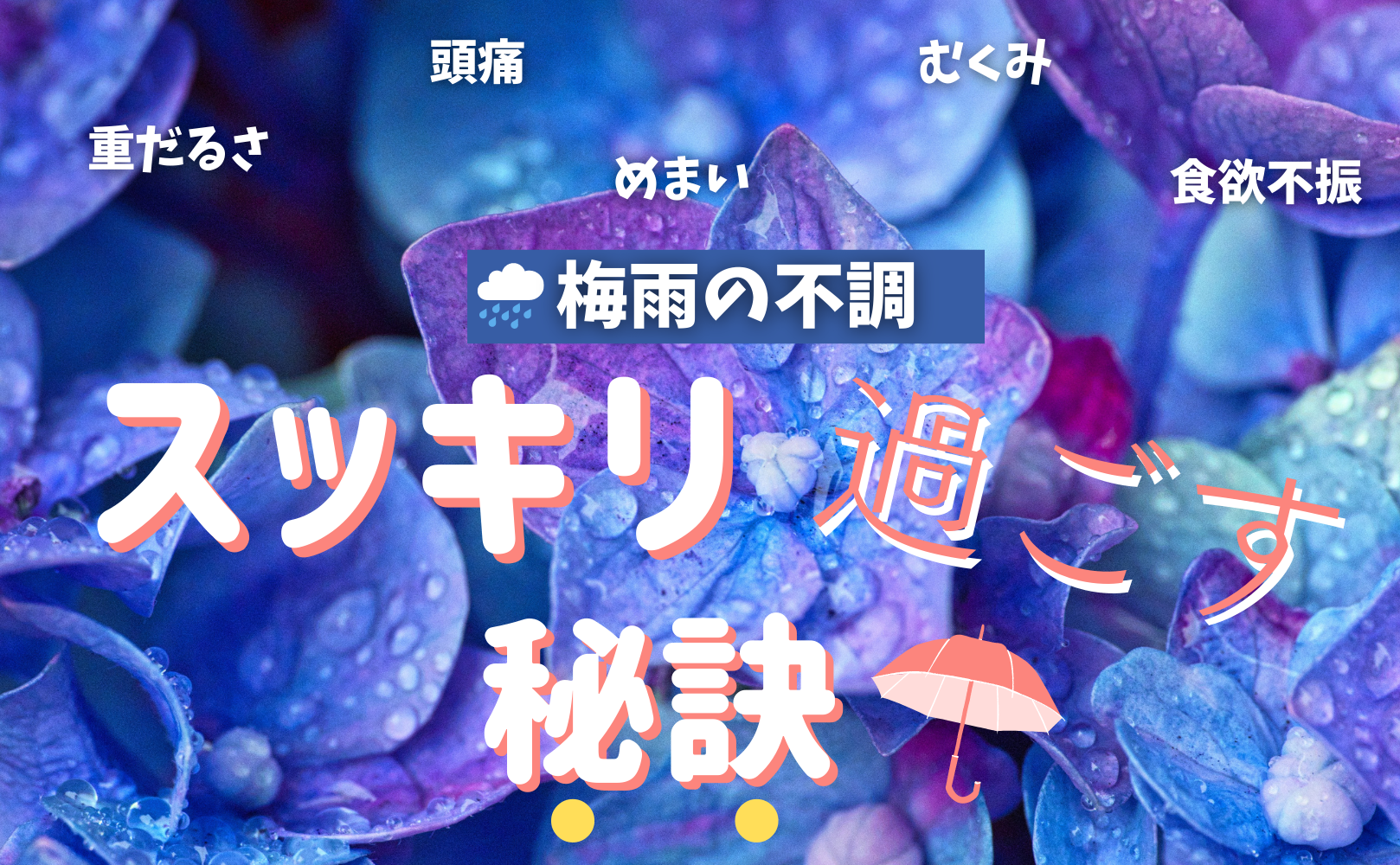梅雨を乗り越える